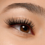 essence What The Fake! False Lashes 05 Brown - 2.95 euro