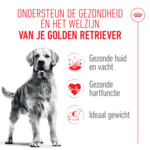 Royal Canin Golden Retriever Adult Hondenvoer 15 kg
