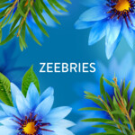 Lenor In-Wash Geurbooster Zeebries 19 wasbeurten - 12.29 euro