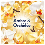 12x Lenor Wasverzachter Amber & Orchidee 42 Wasbeurten - 53.99 euro