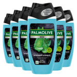 6x Palmolive 4in1 Men Shower & Shave Aloe Vera & Green Tea