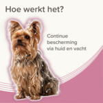 Beaphar Medicinale Halsband hond Tot 8 kg 