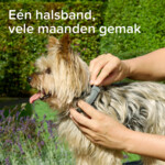 Beaphar Medicinale Halsband hond Vanaf 8 kg 