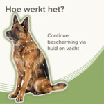 Beaphar Medicinale Halsband hond Vanaf 8 kg 