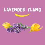 Happy Earth 100% Natuurlijke Body Deo Spray Lavender Ylang - 8.05 euro