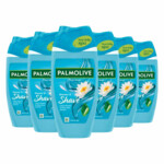 6x Palmolive Douchegel Shower & Shave
