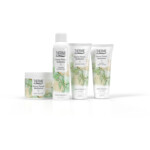 6x Therme Shower Gel Forest Flower Meditation - 29.55 euro
