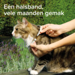 Beaphar Medicinale Halsband Kat 