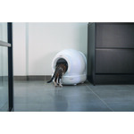 Beeztees Automatische Kattenbak Moeza Wit 