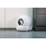 Beeztees Automatische Kattenbak Moeza Wit 