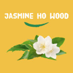 Happy Earth 100% Natuurlijke Deodorant Stick Jasmine Ho Wood - 9.99 euro