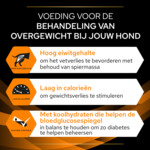 Pro Plan Veterinary Diets Hondenvoer Obesity Management 3 kg