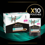 Pro Plan Veterinary Diets Kattenvoer Gastro Intestinal   Zalm 10 x 85 gr