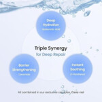 Biodance Hydro Cera-Nol Real Deep Mask - 14.45 euro