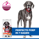 Hill's Science Plan Hondenvoer Droog Adult Perfect Digestion Large Kip - Rijst 14 kg