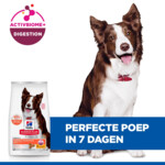 Hill's Science Plan Hondenvoer Droog Adult Perfect Digestion Medium Kip - Rijst 14 kg
