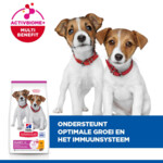 Hill's Science Plan Hondenvoer Droog Puppy Small & Mini Kip 6 kg