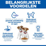 Hill's Science Plan Hondenvoer Droog Puppy Small & Mini Kip 6 kg