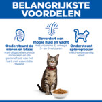 Hill's Science Plan Kattenvoer Droog Adult Zalm 3 kg