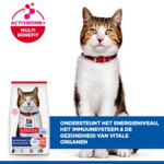 Hill's Science Plan Kattenvoer Droog Mature Adult 7+  Zalm 10 kg