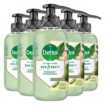 5x Dettol Premium Wash Gel Green Tea & Bergamot - 19.95 euro