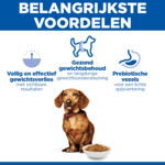 Hill's Science Plan Hondenvoer Droog Adult Perfect Weight Small & Mini Kip 6 kg
