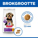 Hill's Science Plan Hondenvoer Adult Sensitive Stomach & Skin Small & Mini Kip 6 kg