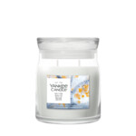 Yankee Candle Silver Birch Medium Jar Grijs