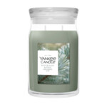 Yankee Candle Silver Sage & Pine Large Jar Groen