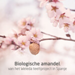 WELEDA Amandel Verzachtende Reingingsmelk - 10.59 euro