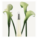 Issey Miyake L'Eau D'Issey Eau de Toilette - 62.99 euro
