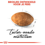 Royal Canin Kattenvoer Droog Persian Adult 10 kg