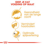 Royal Canin Kattenvoer Droog Persian Adult 10 kg