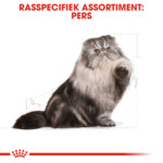 Royal Canin Kattenvoer Droog Persian Adult 2 kg
