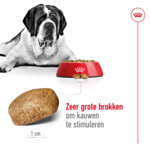 Royal Canin Giant Adult Hondenvoer 15 kg