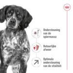 Royal Canin Medium Adult 7+ Hondenvoer 15 kg