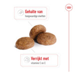 Royal Canin Medium Adult 7+ Hondenvoer 15 kg