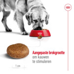 Royal Canin Hondenvoer Maxi Adult 5+ 15 kg