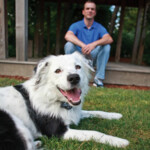 Petsafe Wireless Pet Omheining Instant Fence PIF-300-20 - 255.97 euro