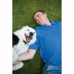 Petsafe Wireless Pet Omheining Instant Fence PIF-300-20 - 255.97 euro