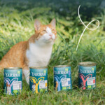 12x Yarrah Bio Kattenvoer Chunks Kip & Rund 405 gr