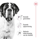 Royal Canin Hondenvoer Droog Giant Adult 4 kg