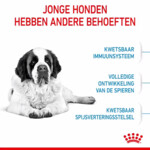 Royal Canin Giant Junior Hondenvoer 15 kg