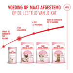 Royal Canin Kattenvoer Droog Mother & Babycat 400 gr