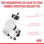 Royal Canin Mother & Babycat Kattenvoer 4 kg