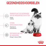 Royal Canin Mother & Babycat Kattenvoer 4 kg