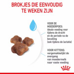 Royal Canin Mother & Babycat Kattenvoer 4 kg