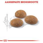 Royal Canin Kattenvoer Droog Outdoor 2 kg