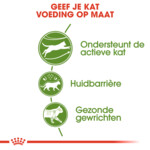 Royal Canin Kattenvoer Droog Outdoor 4 kg