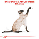 Royal Canin Kattenvoer Droog Siamees Adult 2 kg